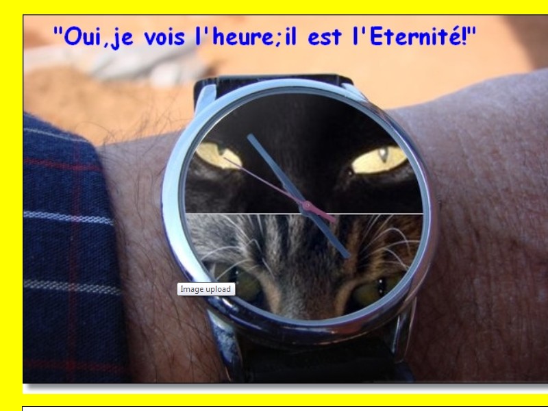 Hebergeur d'image