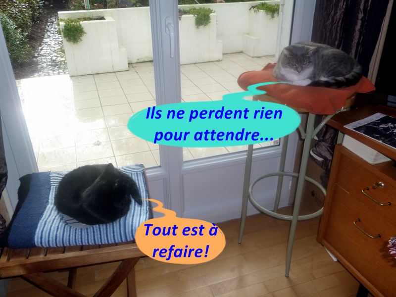Hebergeur d'image