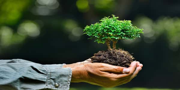البعد البيئي في علاقة المغرب والاتحاد الأوروبي: قراءة في ضوء الوضع المتقدم