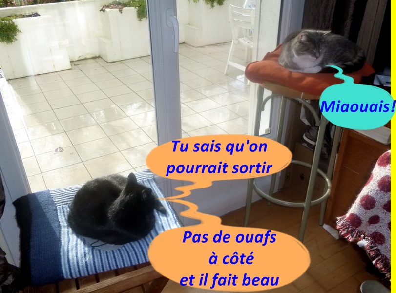 Hebergeur d'image