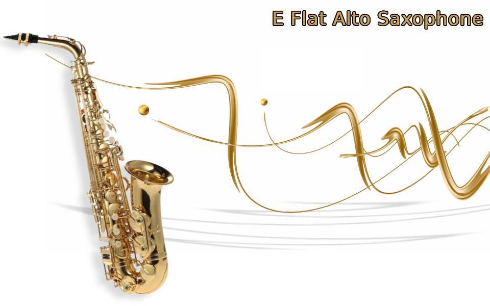 Dcenta Eb Alto Saxophone Brass Lacquered Gold E Flat Sax 802 Key