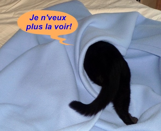 Hebergeur d'image