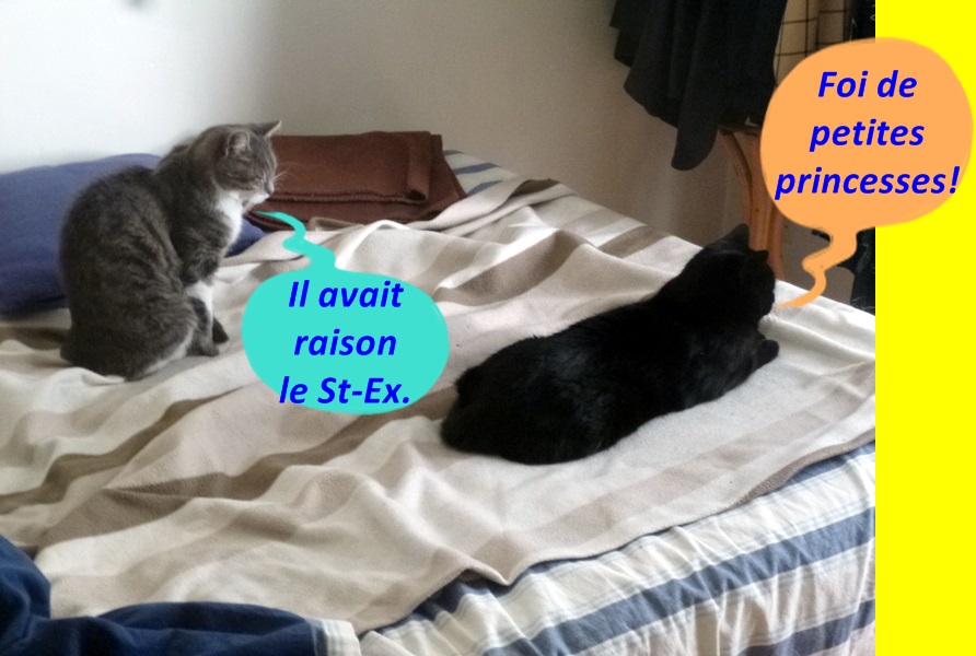 Hebergeur d'image