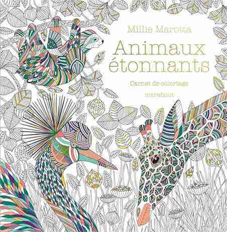 livre de coloriage pour adultes