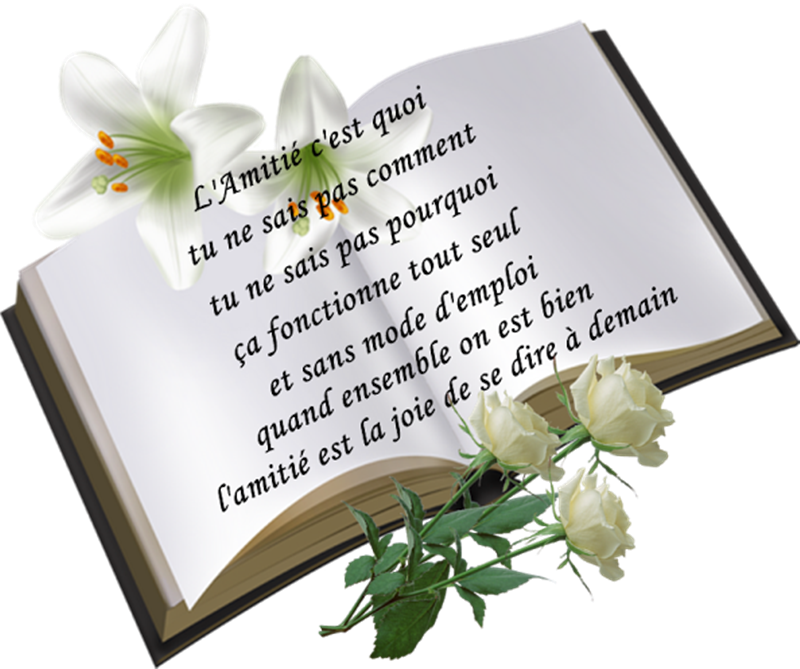 Bonjour, bonsoir..... - Page 39 MmAO5