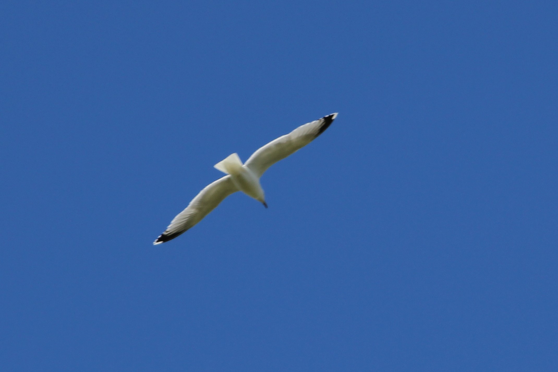n3LQ.jpg