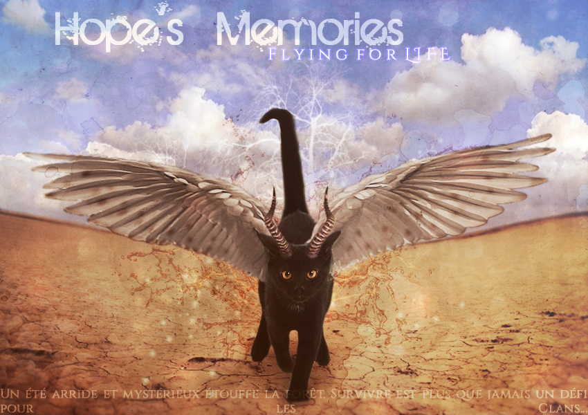 Hope's Memories