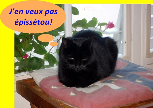 Hebergeur d'image