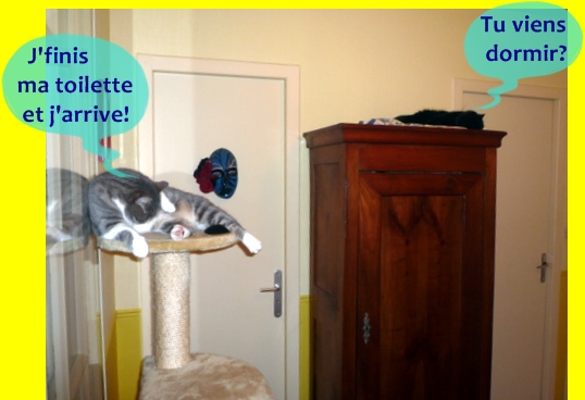 Upload image