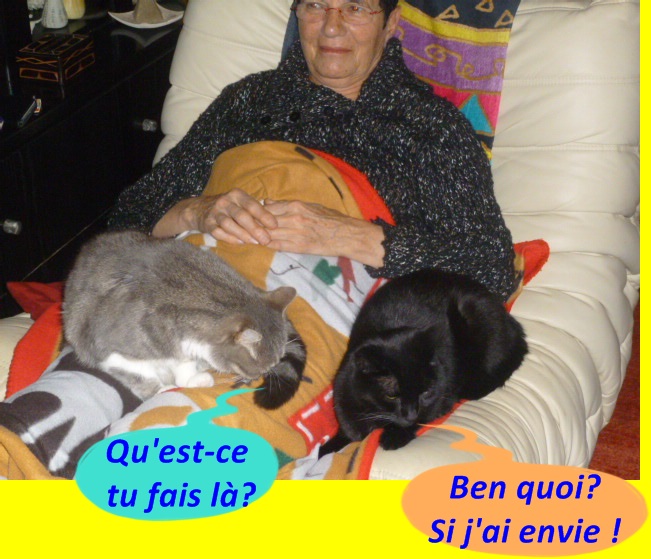 Hebergeur d'image