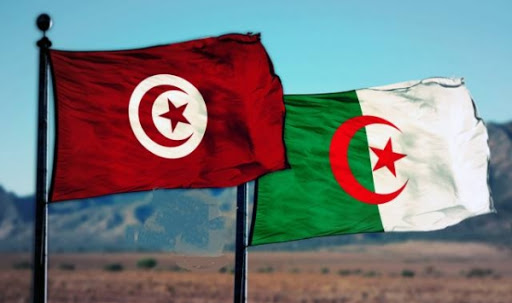 آليات الترشح في الانتخابات وأثرها على النظام السياسي في الجزائر وتونس
