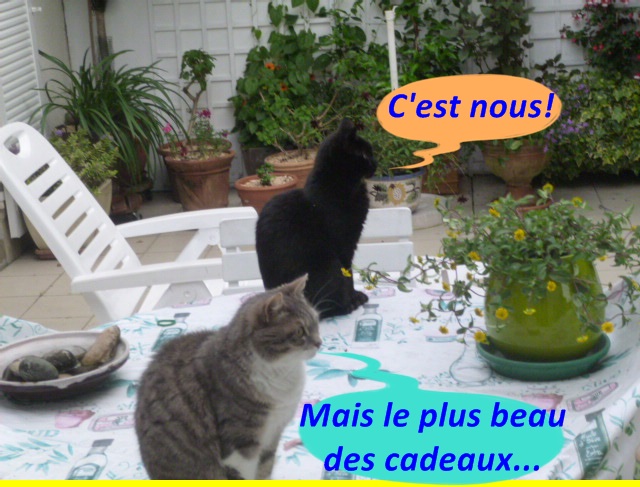 Hebergeur d'image