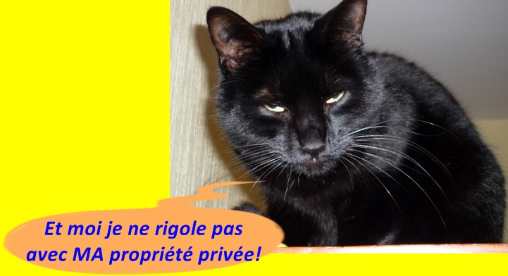 Hebergeur d'image