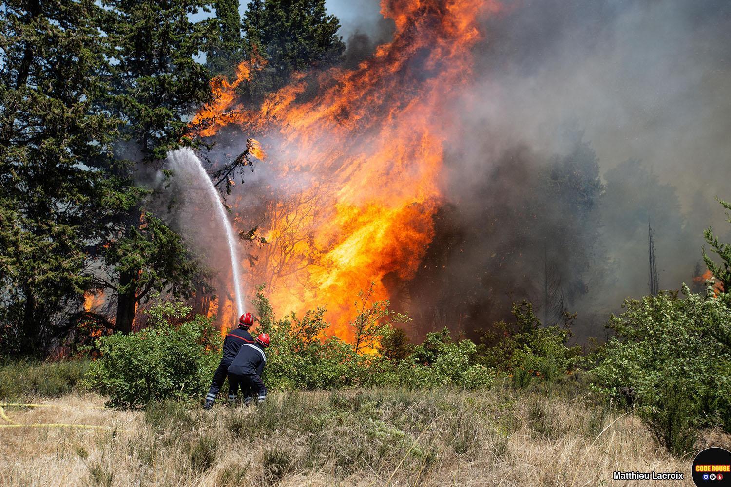 Deux pompiers luttent contre un incendie de forêt