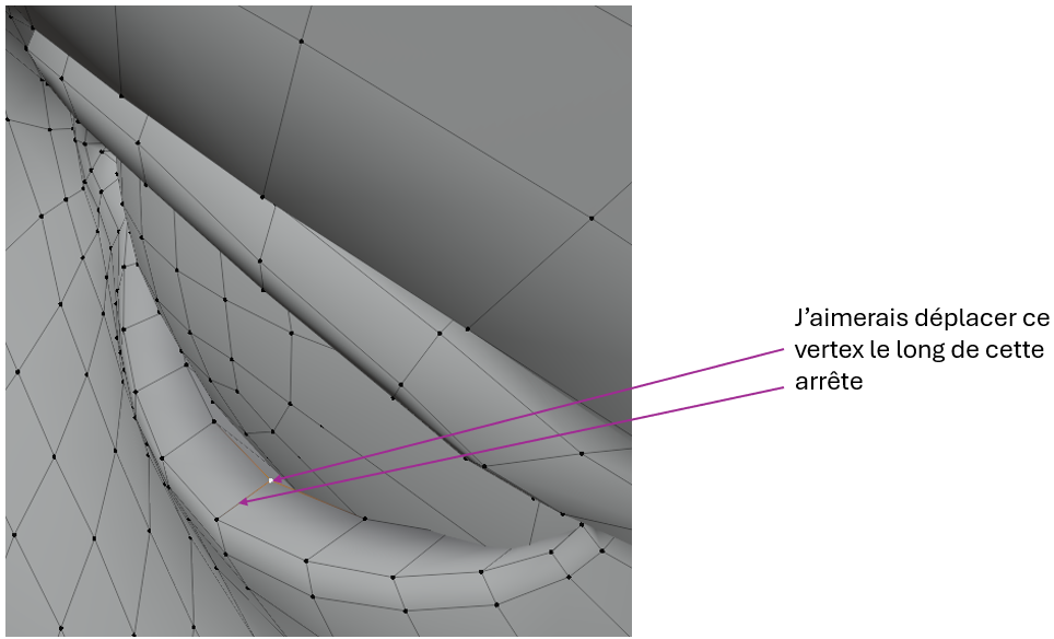 Peut-on déplacer un vertex le long d'un edge ? P7pn1y