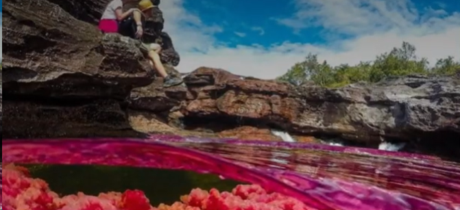 La Caño Cristales
