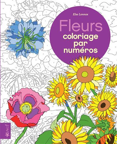 livre de coloriage mystere pour adultes