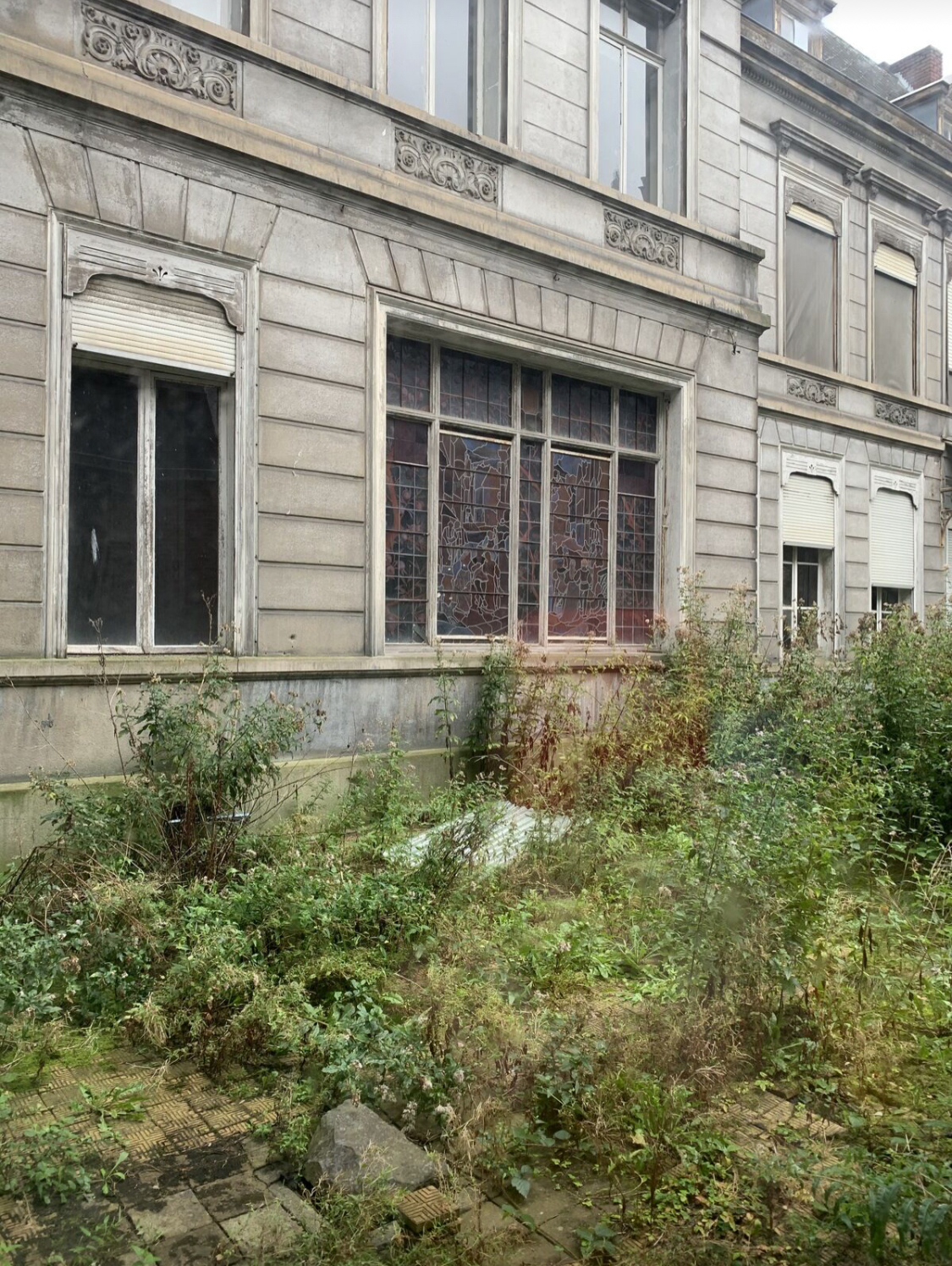https://i.goopics.net/q2wn91.jpg