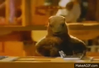 q7qb8v.gif
