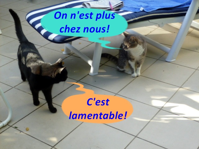 Hebergeur d'image