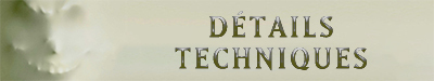 sptna9.jpg?042148