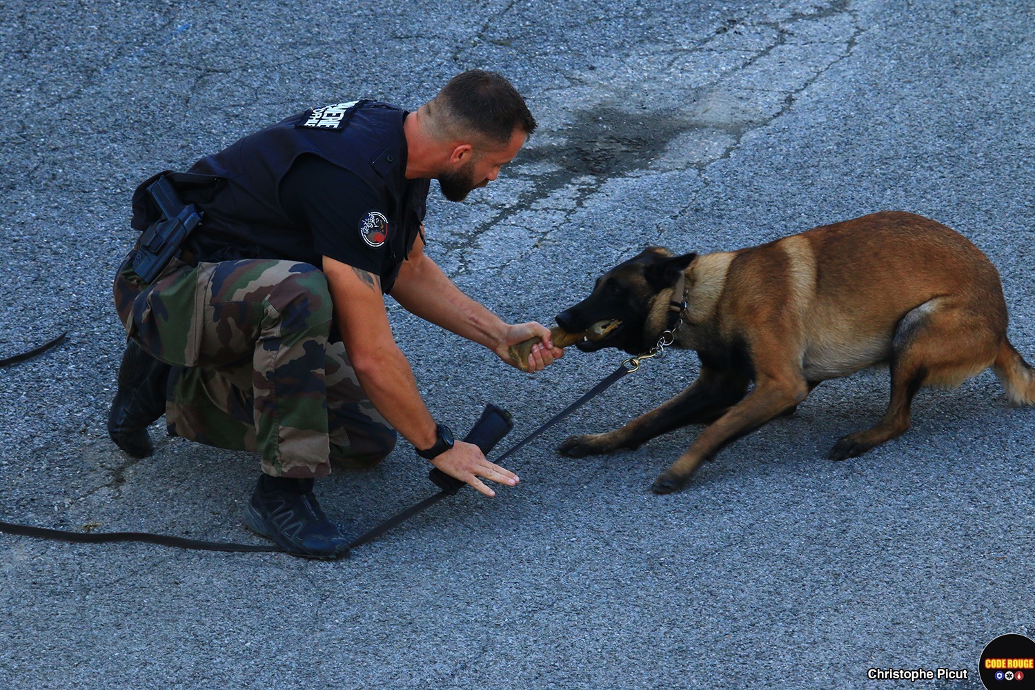 Un gendarme de l'équipe cynophile accroupi tient un bâton dans la main gauche ; son chien mord dans le bâton