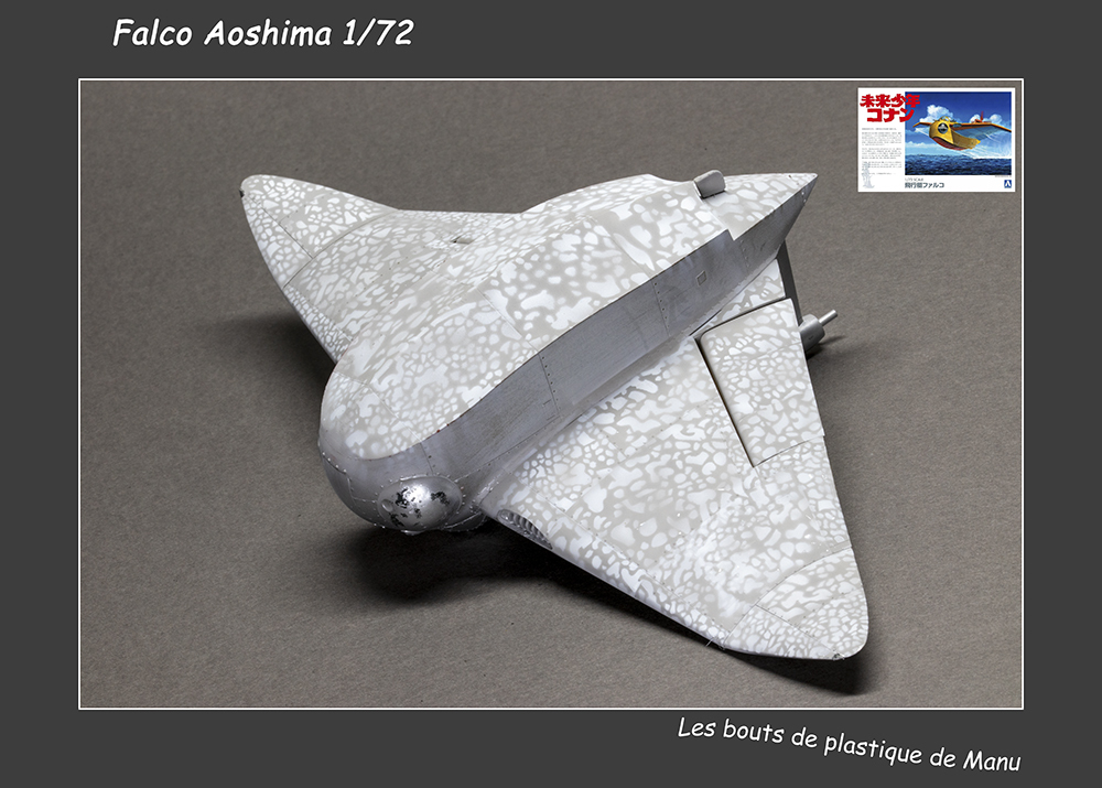 Falco Aoshima 1/72 - "Menus" dégâts - Page 3 Sx53wx