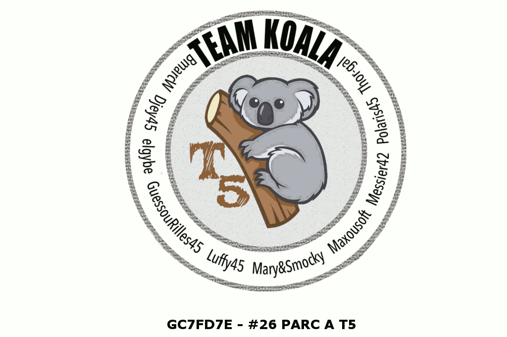 Team Koala