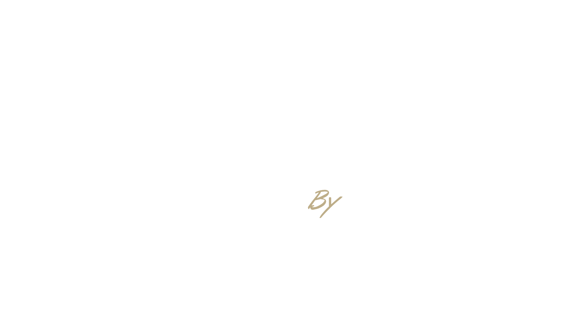 LF Immo Logo