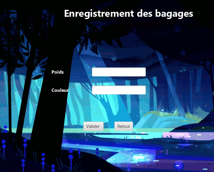 Image de l'interface de voyageur pour saisir des informations