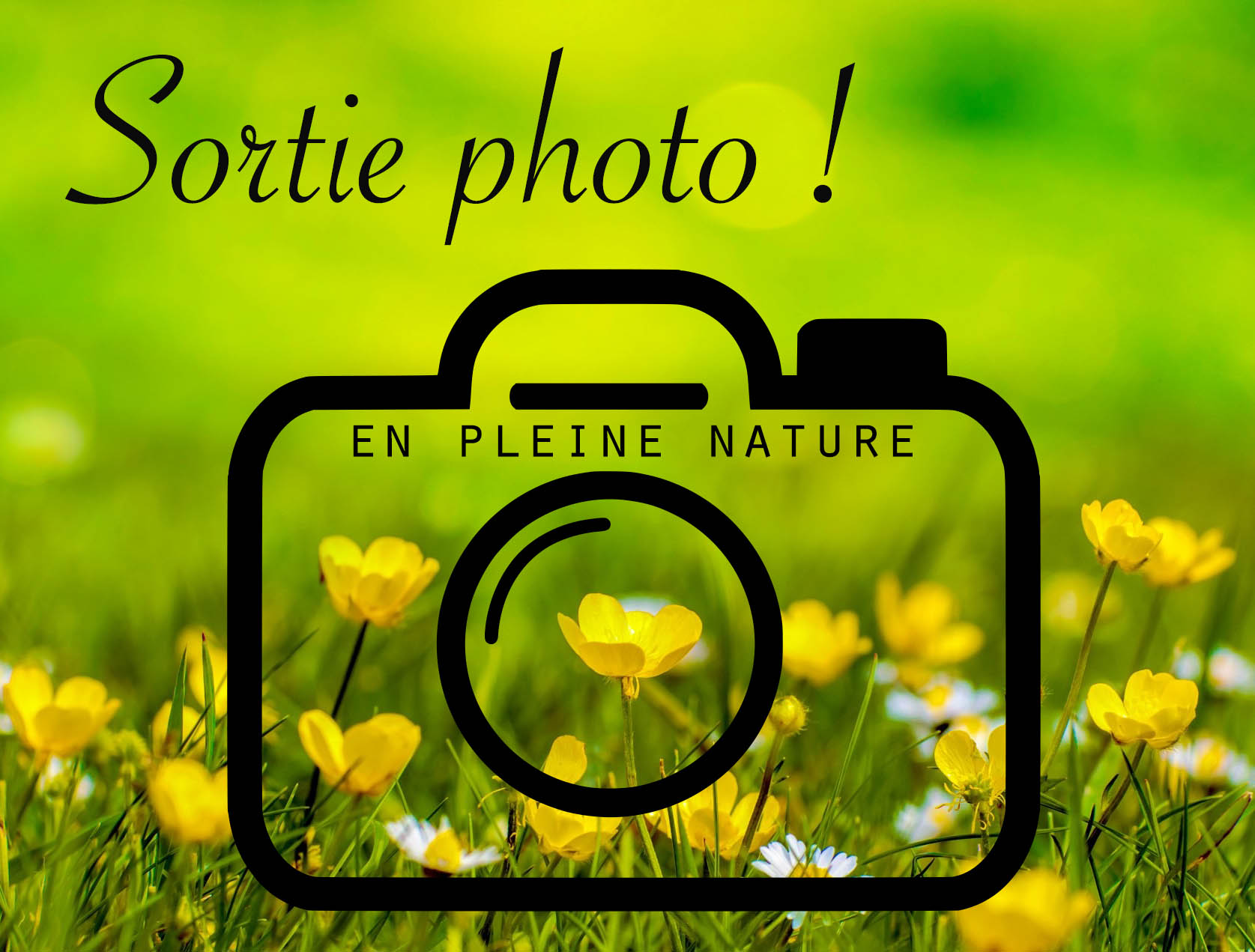image perso