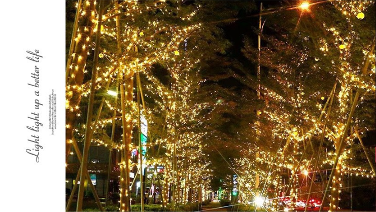 Guirlande Lumineuse Carnaval Mariage Extérieur Jardin Intérieur Éclairage - 50M 500 LED 12 Guirlande Lumineuse Carnaval Mariage Extérieur Jardin Intérieur Éclairage - 50M 500 LED -OSRAM || EUROPALAMP Soldes Boutique