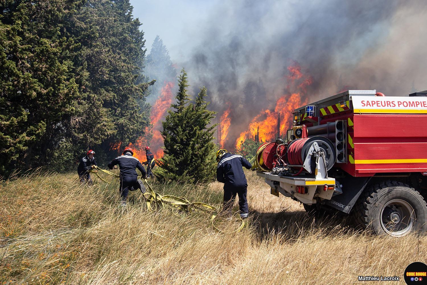 Plusieurs sapeurs-pompiers en action au milieu de la végétation