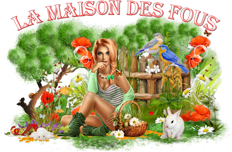 LA MAISON DES FOUS