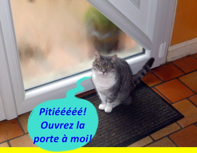 Hebergeur d'image