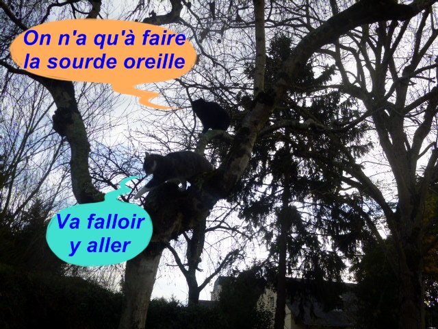 Hebergeur d'image