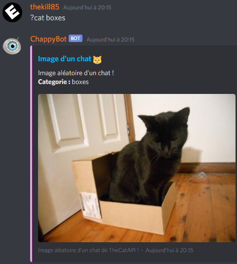 Image de chat aléatoire (précision de la catégorie désirée)
