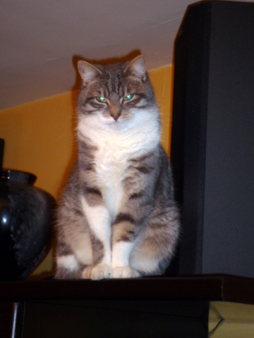 Upload image