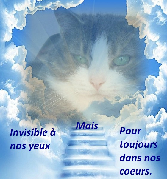 Hebergeur d'image