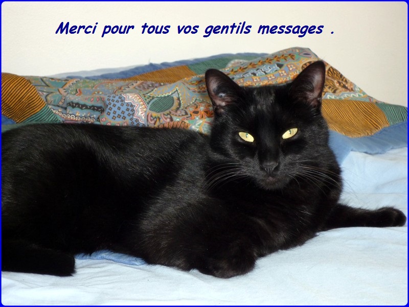 Hebergeur d'image