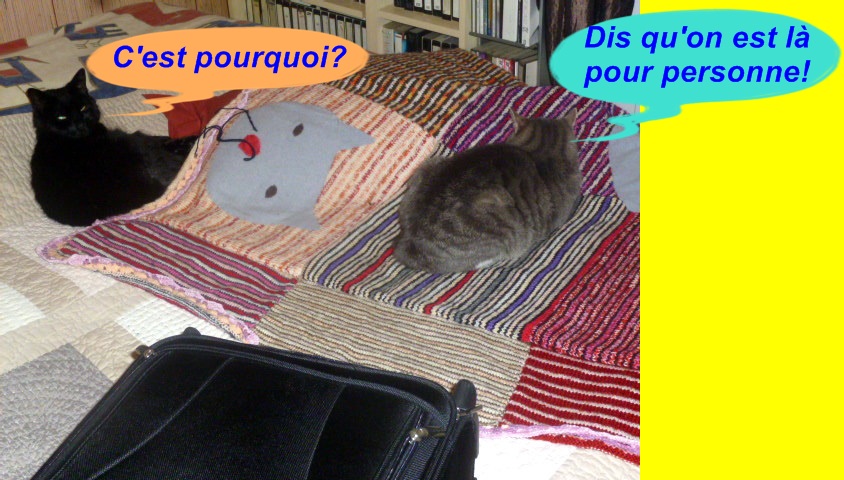 Hebergeur d'image
