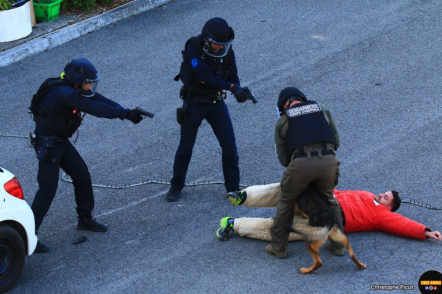 Simulation d'une intervention en lien avec l'équipe cynophile