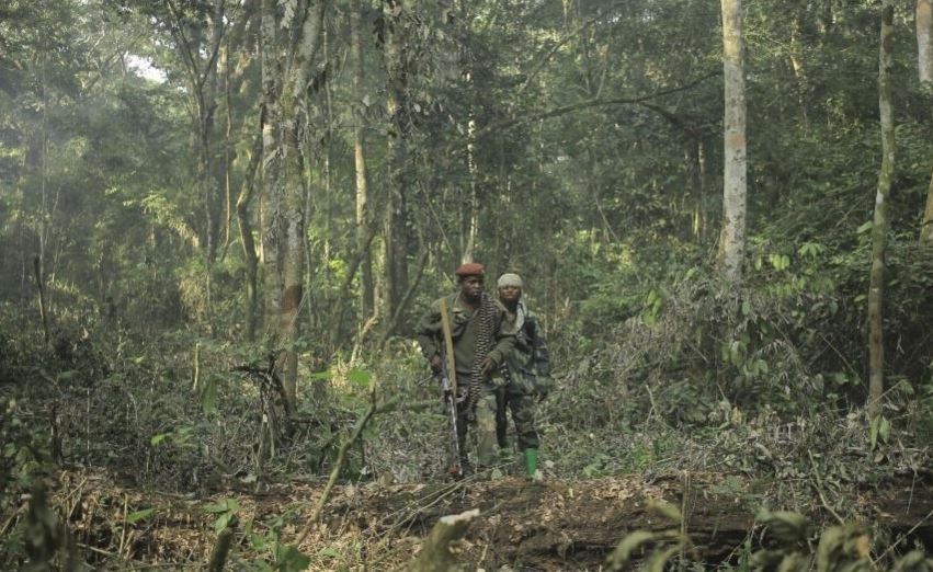 Soldats du GALK dans leur dernier retranchement dans la jungle Gondolaise