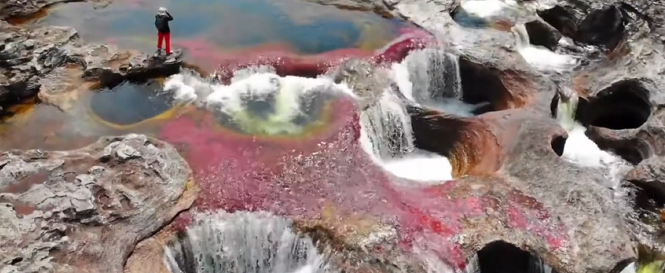La rivière Caño Cristales