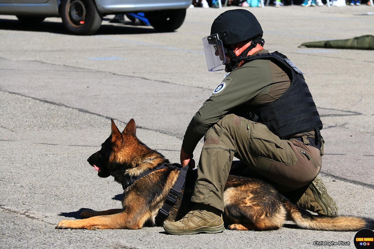 Un gendarme de l'équipe cynophile en tenue d'intervention est accroupi, de profil, aux côtés de son chien