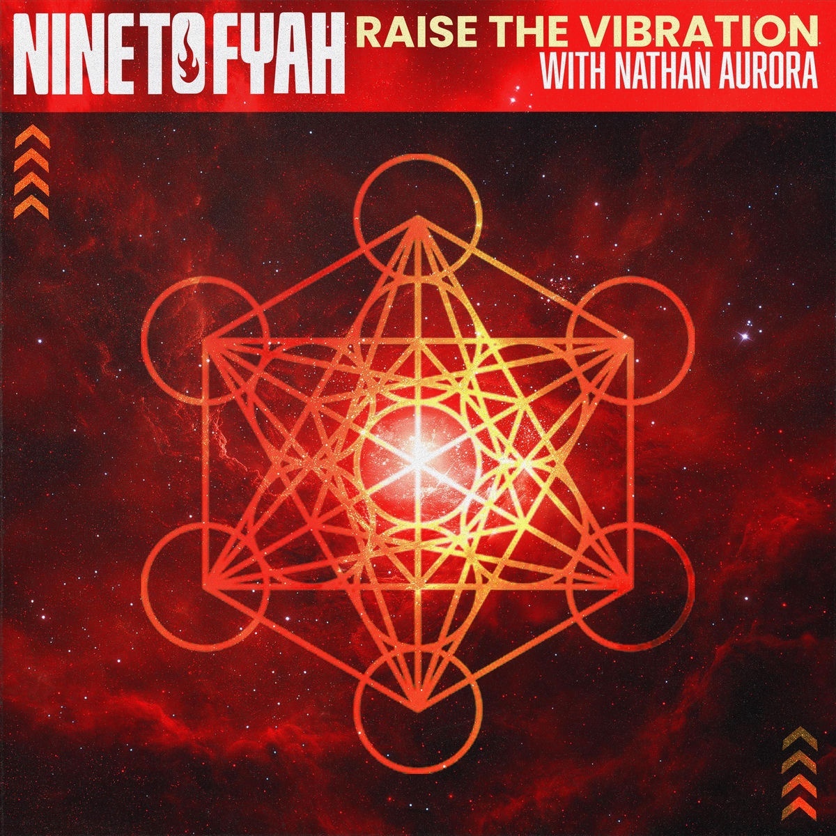 Nine To Fyah Feat. Nathan Aurora - Raise The Vibration (Nine to Fyah) 2026